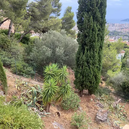 Διαμέρισμα Bas De Villa, Vue Mer, Terrasse, Clim, Piscine Τουλόν
